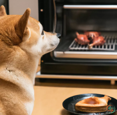 A dog looking at a plate of food