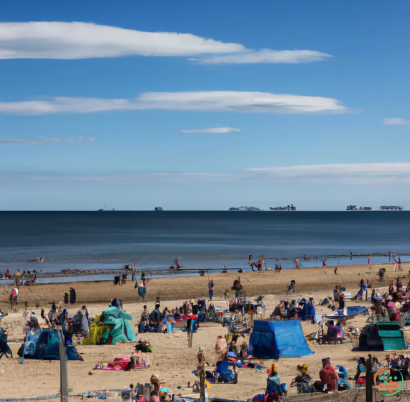 A large crowd of people at a beach