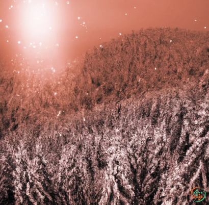 A snowy hill with trees