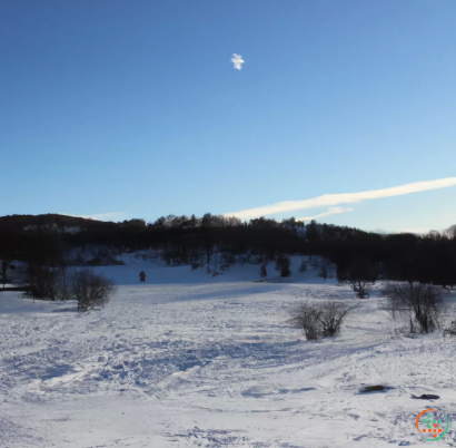 A snowy field with trees and a moon in the sky