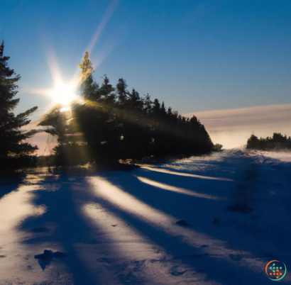 A snowy landscape with trees and the sun in the background