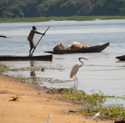 A bird standing on a log in the water