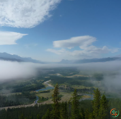 A landscape with trees and fog