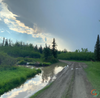 A road with a stream of water and trees on the side