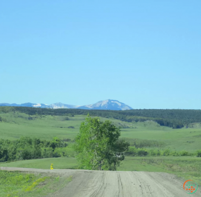 A road with a tree and mountains in the background