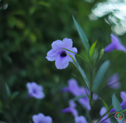 A close up of a purple flower