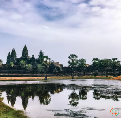 A body of water with trees around it