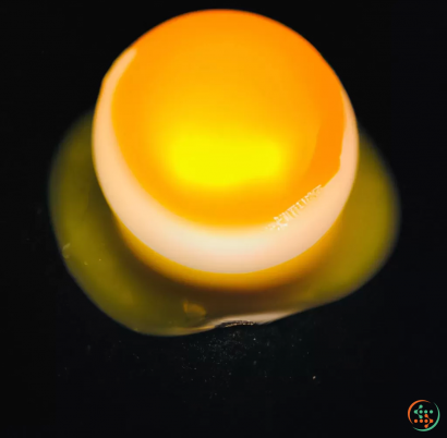 A yellow egg on a black background