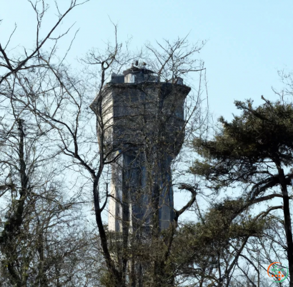 A water tower with trees around it