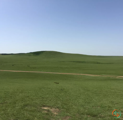 A grassy field with a dirt road