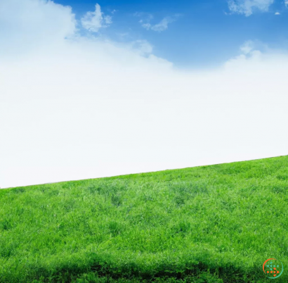 A grassy field with a blue sky