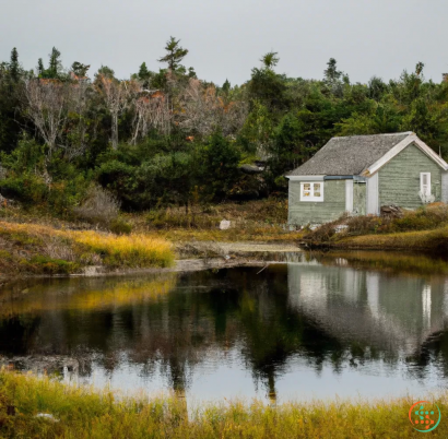 A house next to a lake