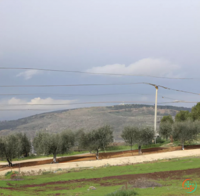 A landscape with trees and power lines