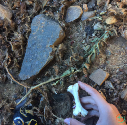 A hand holding a small fish