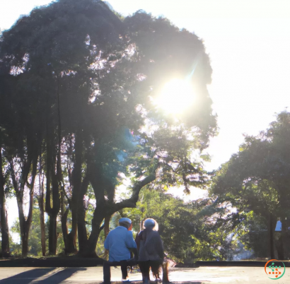 A couple of people sitting on a bench in front of a large tree