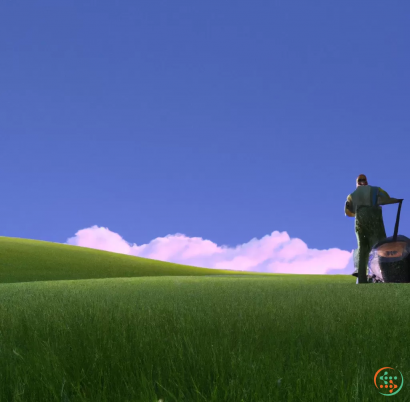A person standing in a field