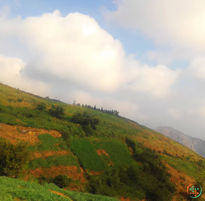 A landscape with hills and trees