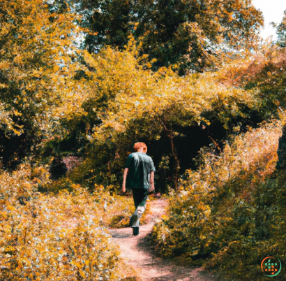 A man walking on a path surrounded by trees