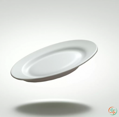 A white plate with a silver circle