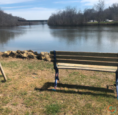 A bench next to a lake