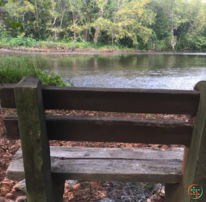 A wooden bridge over a river