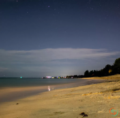 A beach with a body of water and trees in the background