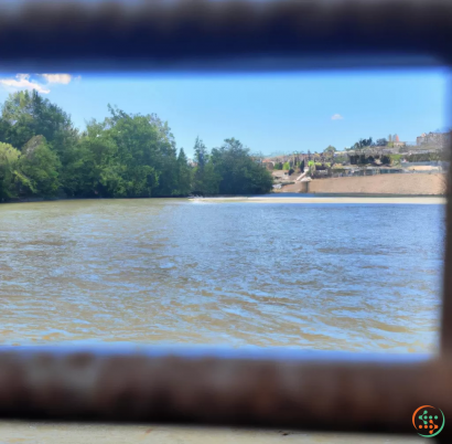 A body of water with trees around it