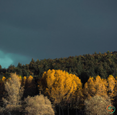 A forest of trees