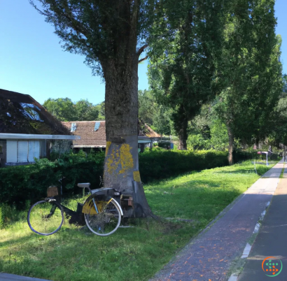 A bicycle parked on the side of a road