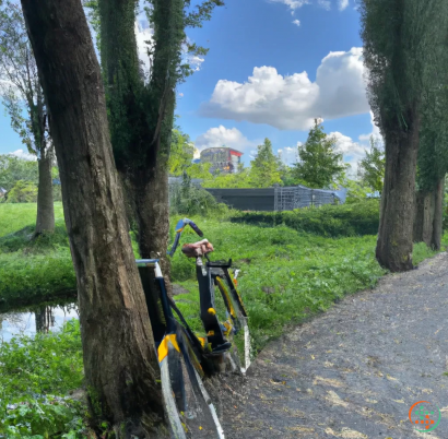 A bicycle parked by a tree