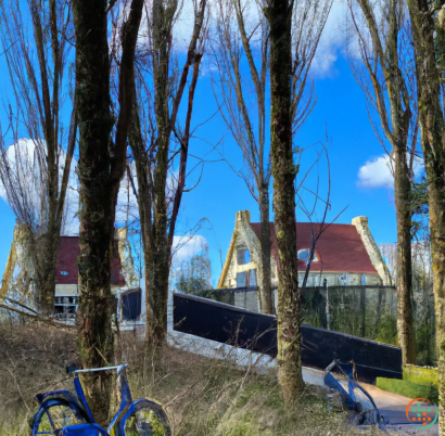 A house with trees and grass