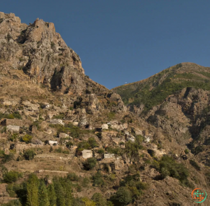 A rocky hillside with trees